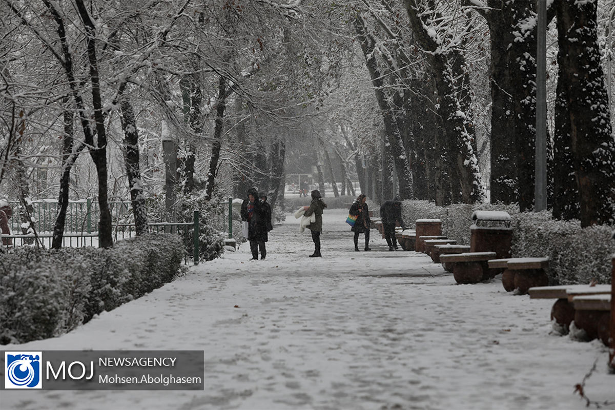 روز برفی در پارک نیاوران