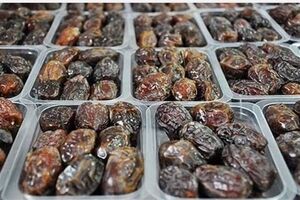 کشف 14 هزار کیلو خرمای فاسد در اصفهان 