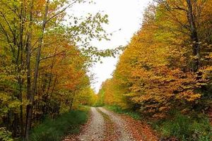 مساحت کمربند سبز شهر تهران بیش از 39100 هکتار می‌شود