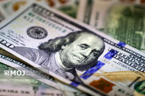 جدیدترین قیمت ارزها در بازار آزاد امروز ۱۸ مرداد ۱۴۰۵