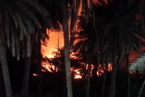 مهار آتش سوزی باغ‌های ماشاری بندرعباس