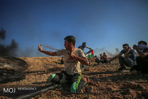 شهدای فلسطینی به 59 نفر رسید