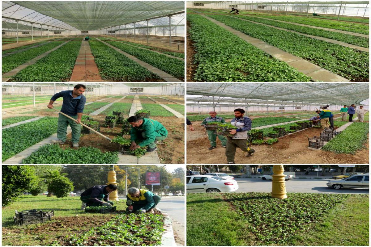 سازمان سیما، منظر و فضای سبز شهرداری کرمانشاه