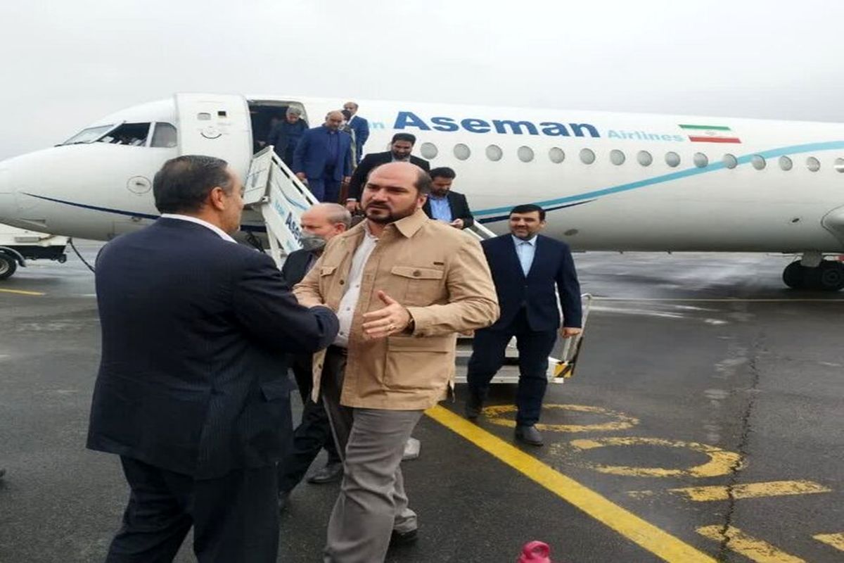 معاون اجرایی