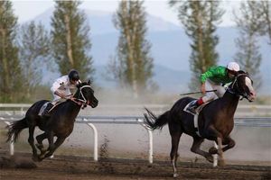 مسابقات اسبدوانی کورس پائیزه کشور در هفته چهارم در شهرستان گنبدکاووس برگزار شد