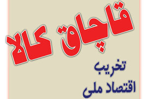 کشف  مرغ غیر بهداشتی در بهار