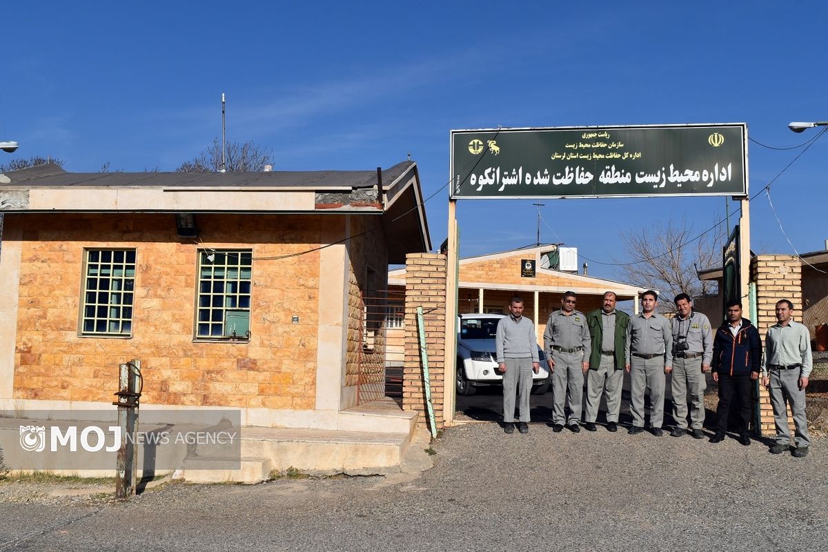 مهرداد فتحی بیرانوند