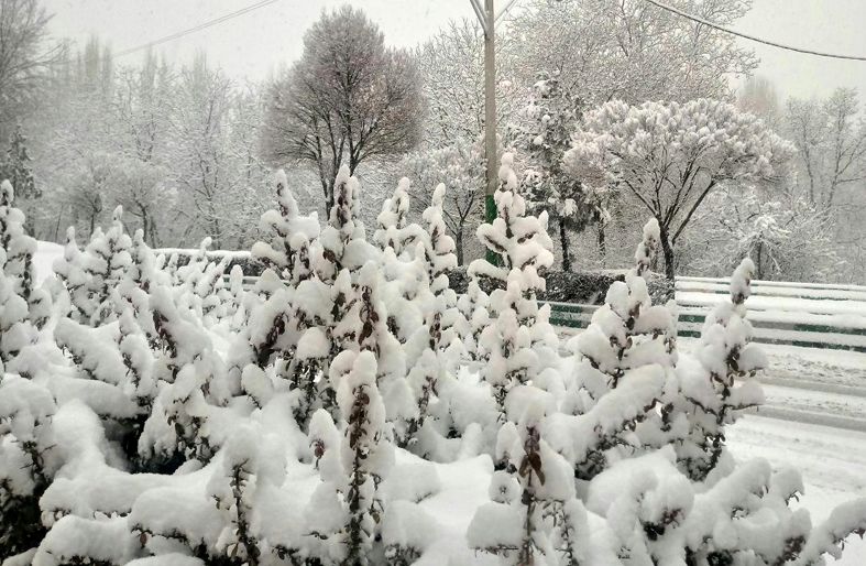 بارش برف در شهرستانهای غربی استان اصفهان / بارش 15 سانتیمتری برف در فریدونشهر