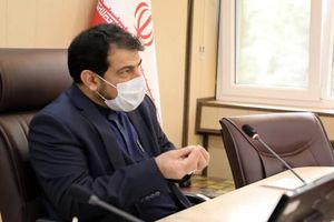 تسهیلات ۸۰ میلیونی زراعت چوب و توزیع نهال رایگان