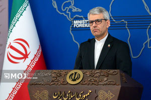 سخنگوی وزارت امور خارجه با سفیر ایران در کاراکاس گفتگو کرد