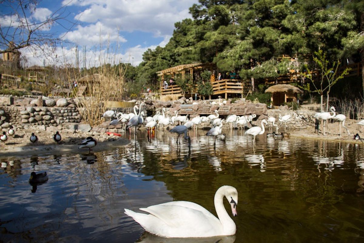 باغ پرندگان