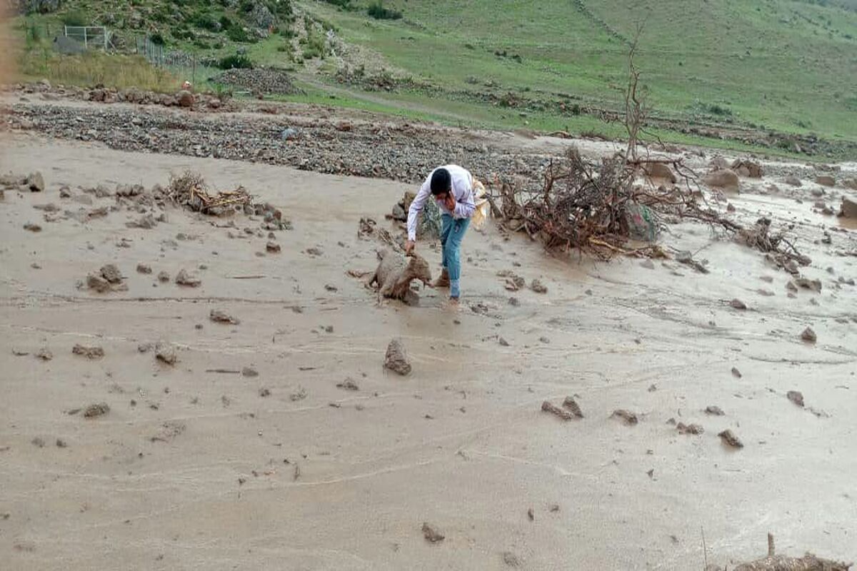 سیل انگاس کجور
