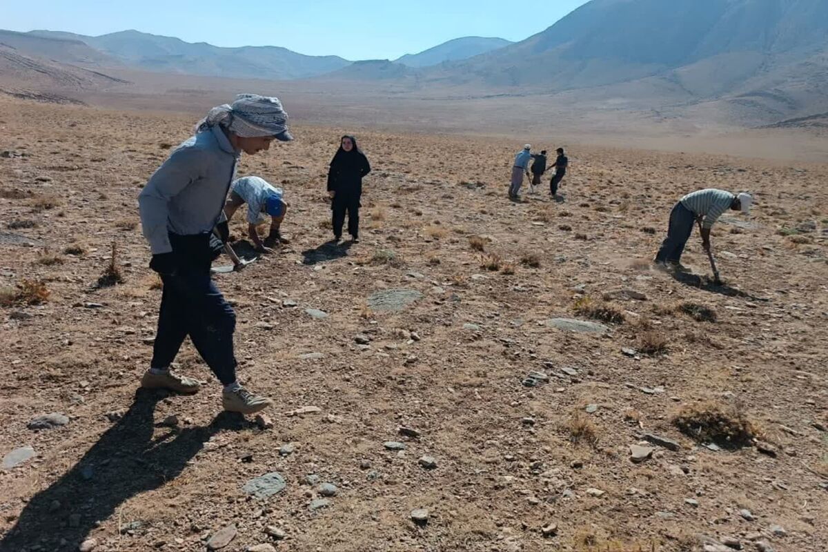 منابع طبیعی