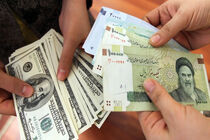حذف ارز ۴۲۰۰ تومانی به بهانه اعطای کارت معیشتی به مردم /دولت نمی‌تواند ارز را تک‌نرخی کند