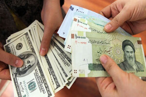 حذف ارز ۴۲۰۰ تومانی به بهانه اعطای کارت معیشتی به مردم /دولت نمی‌تواند ارز را تک‌نرخی کند