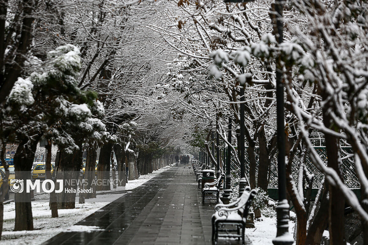 بارش برف در تهران