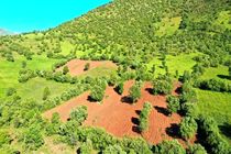 ۲۰۰۰ هکتار اراضی ملی استان تهران دارای سند تک برگی شد