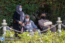 صریح و روشنگرانه؛ فصل الخطاب اختلاف ها