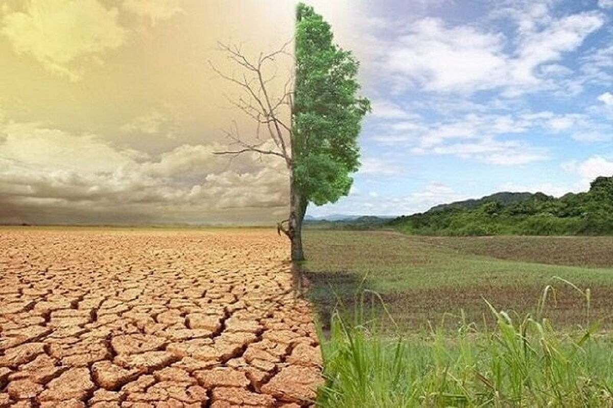 بیابان زدایی