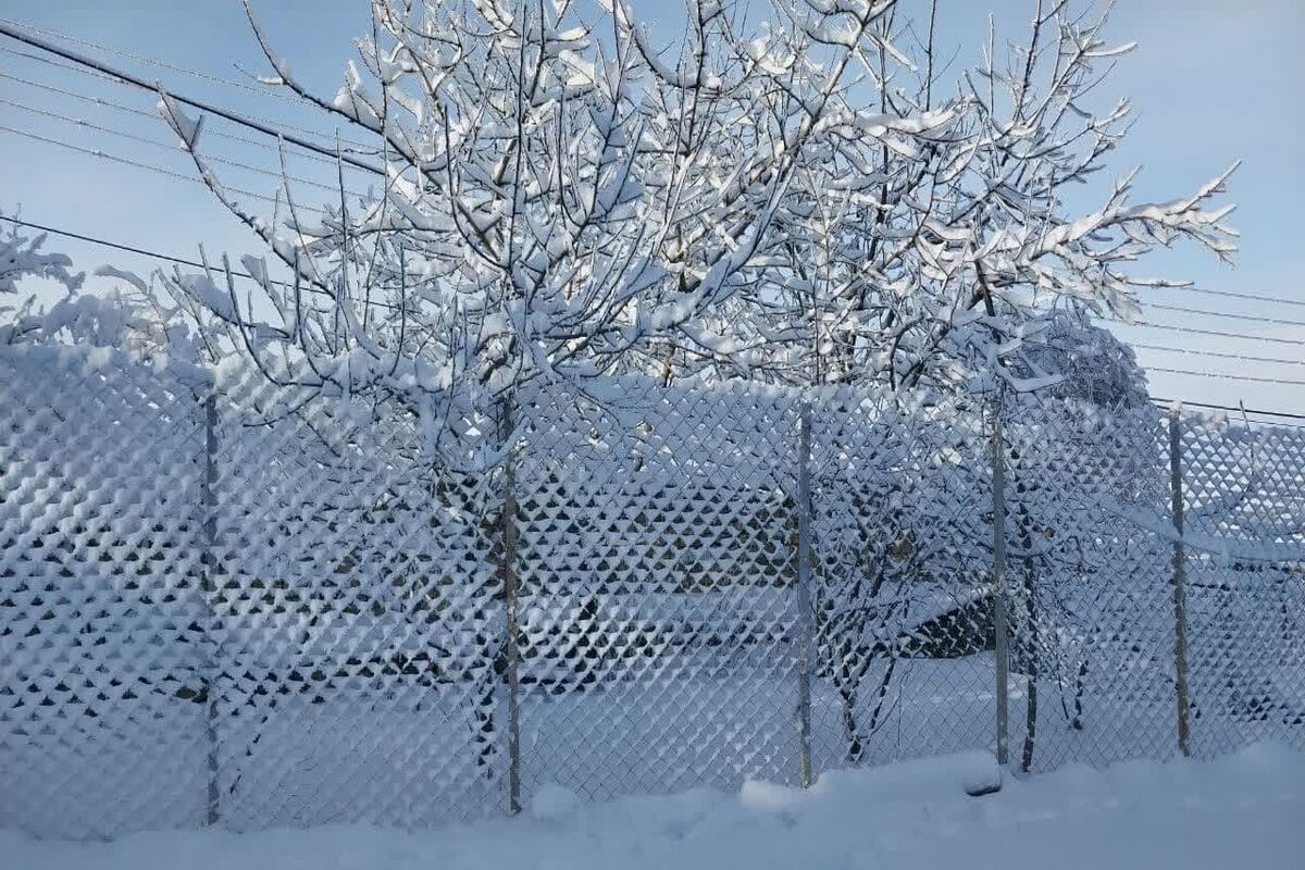 برف و یخبندان مازندران