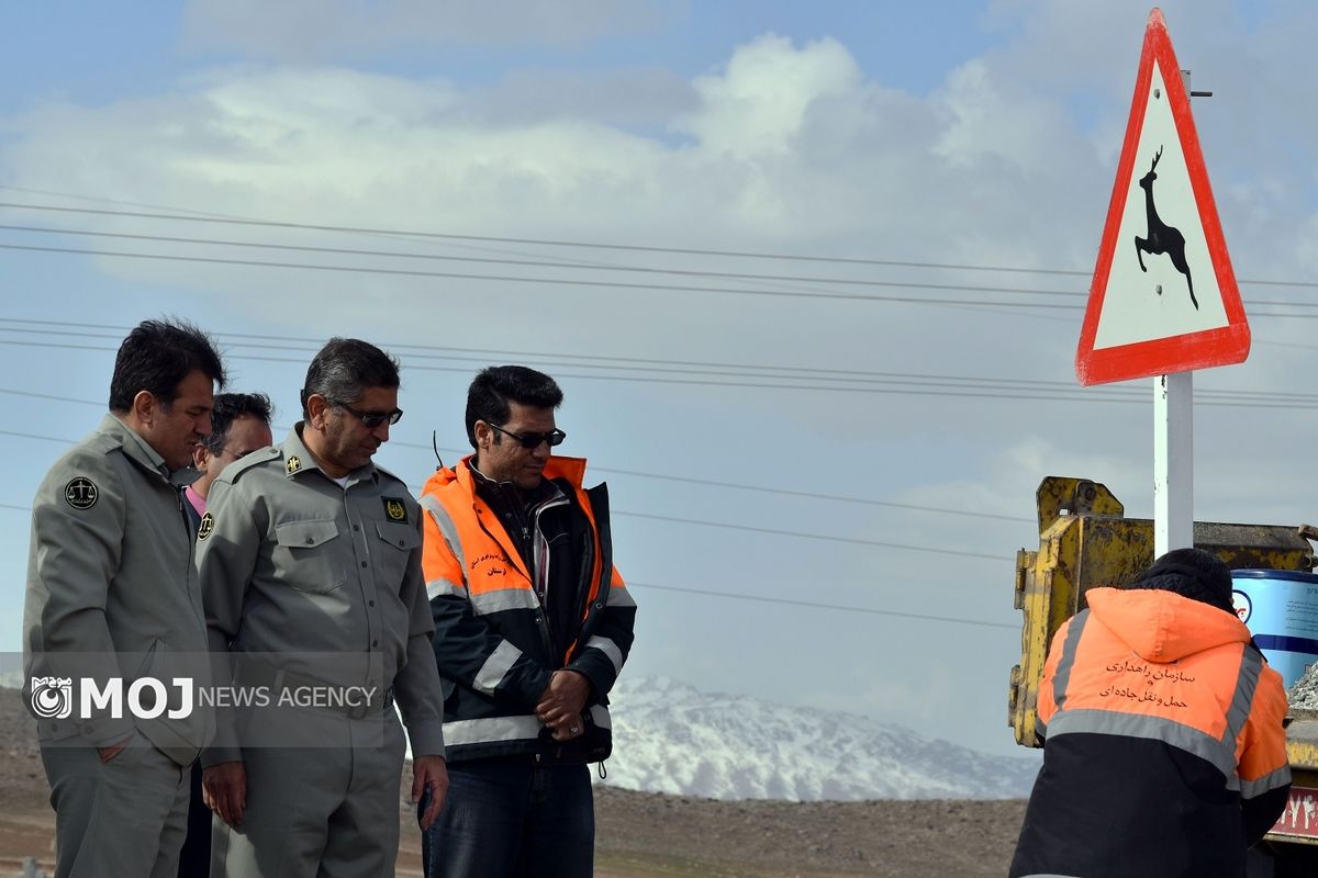 مهرداد فتحی بیرانوند