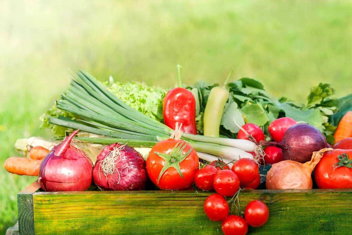 محصولات ارگانیک1