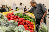 تهران تا چندین ماه ذخیره کالاهای اساسی مطمئن دارد