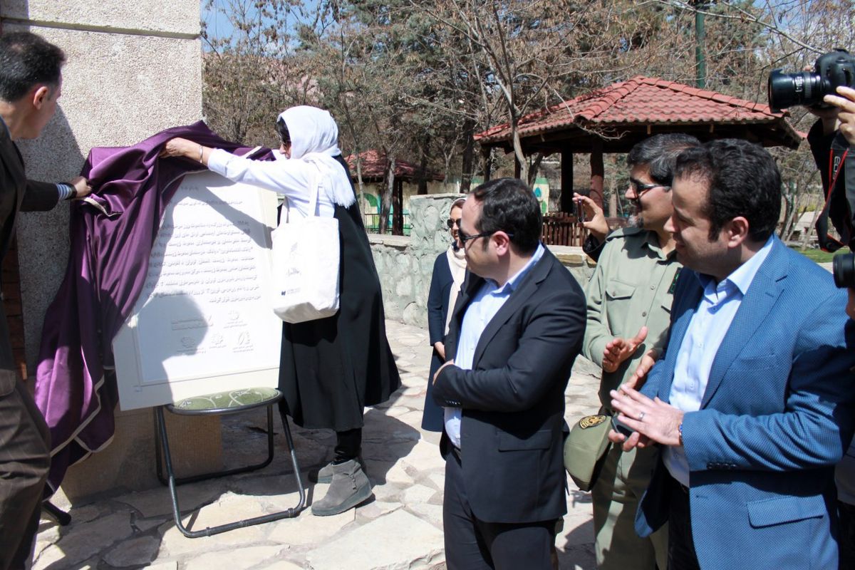 محیط زیست