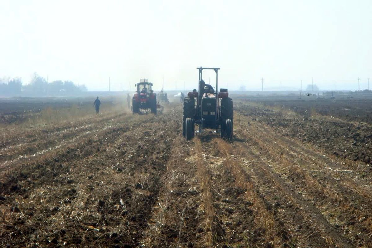 جهاد کشاورزی قزوین