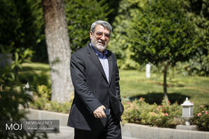 ۲۷۶ پرونده تقسیمات کشوری در دولت بررسی شد