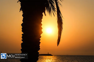 گشتی در جزیره هرمز