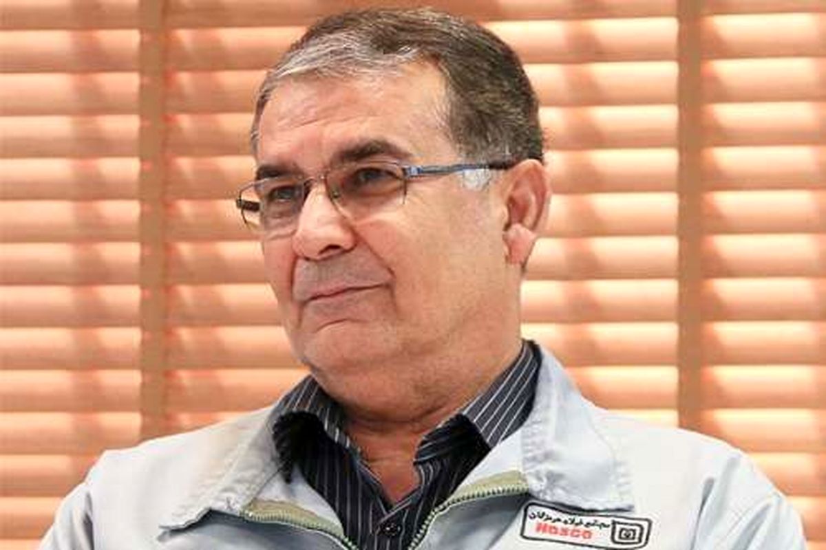فرزاد ارزانی مدیر عامل شرکت فولاد هرمزگان