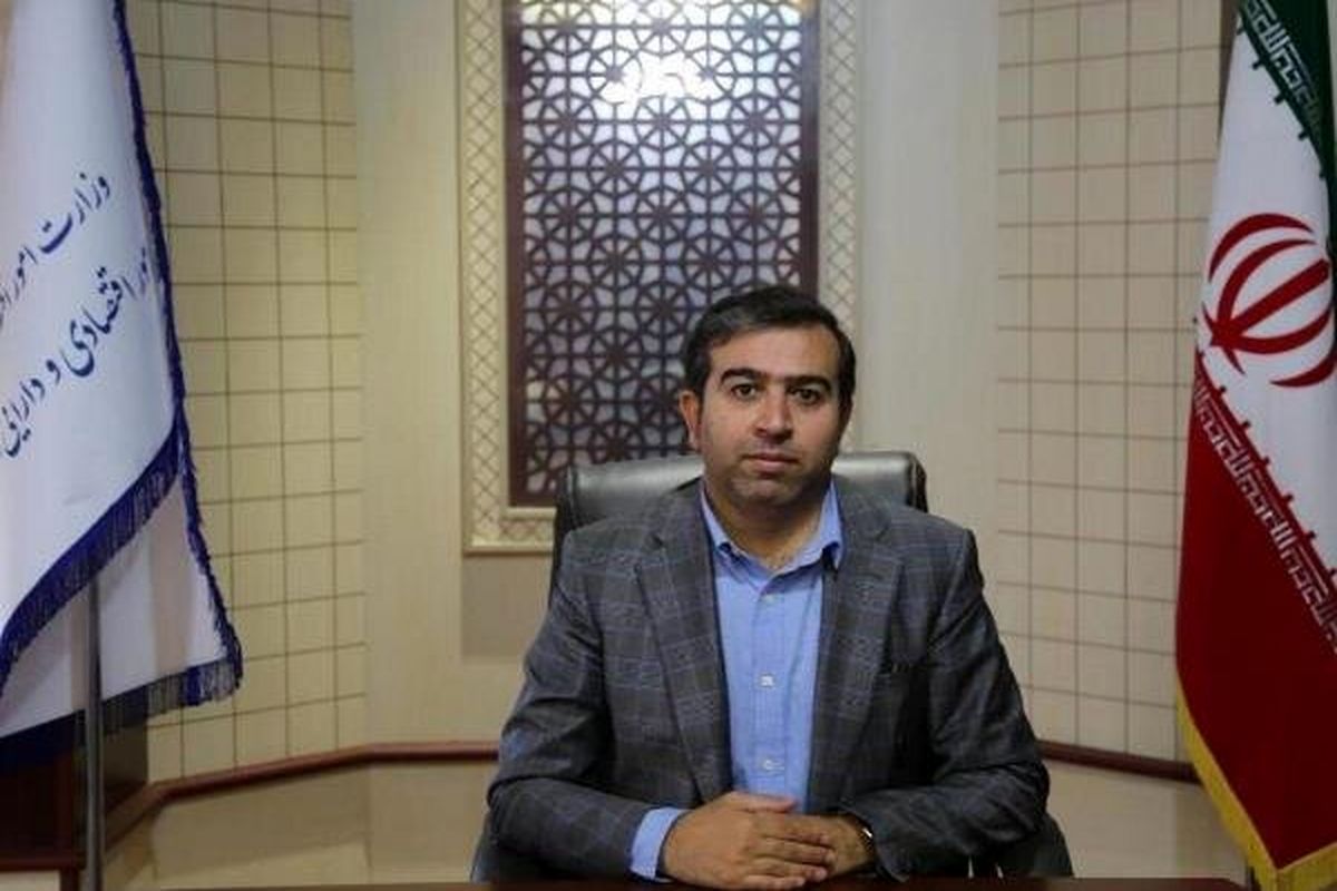 مدیرکل امور اقتصادی و دارایی 