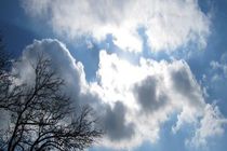 رگبار پراکنده باران در ارتفاعات هرمزگان