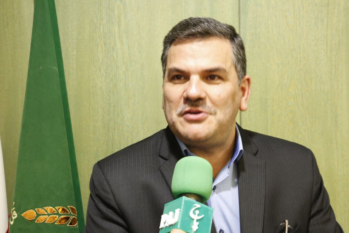 مرتضی رضایی