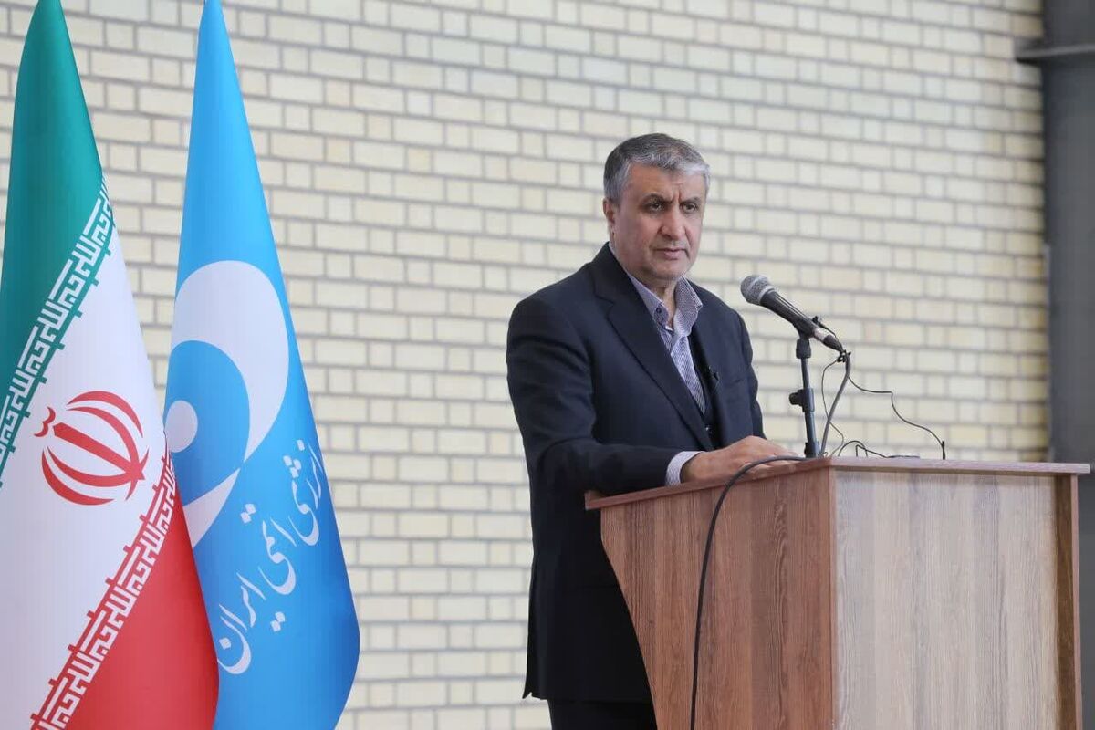 رئیس سازمان انزی اتمی