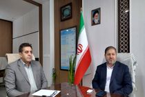 تولید و کاشت ۱.۵ میلیون نهال در ایلام همزمان با هفته منابع طبیعی