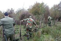 رفع تصرف  اراضی ملی در مناطق حفاظت شده سرولات  شهرستان رودسر