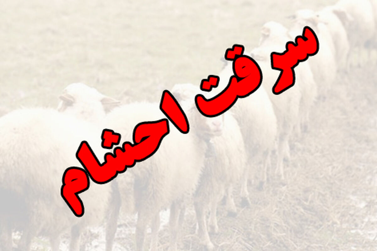 سرقت احشام
