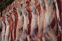 قیمت گوشت قرمز همواره تابع قیمت دام زنده است