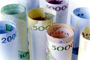 سایت ثبت نام وام یک میلیون تومانی اعلام خواهد شد/یارانه تان را اهدا نکنید