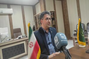 ۹۵ درصد اراضی استان کرمانشاه رفع تداخل شده است