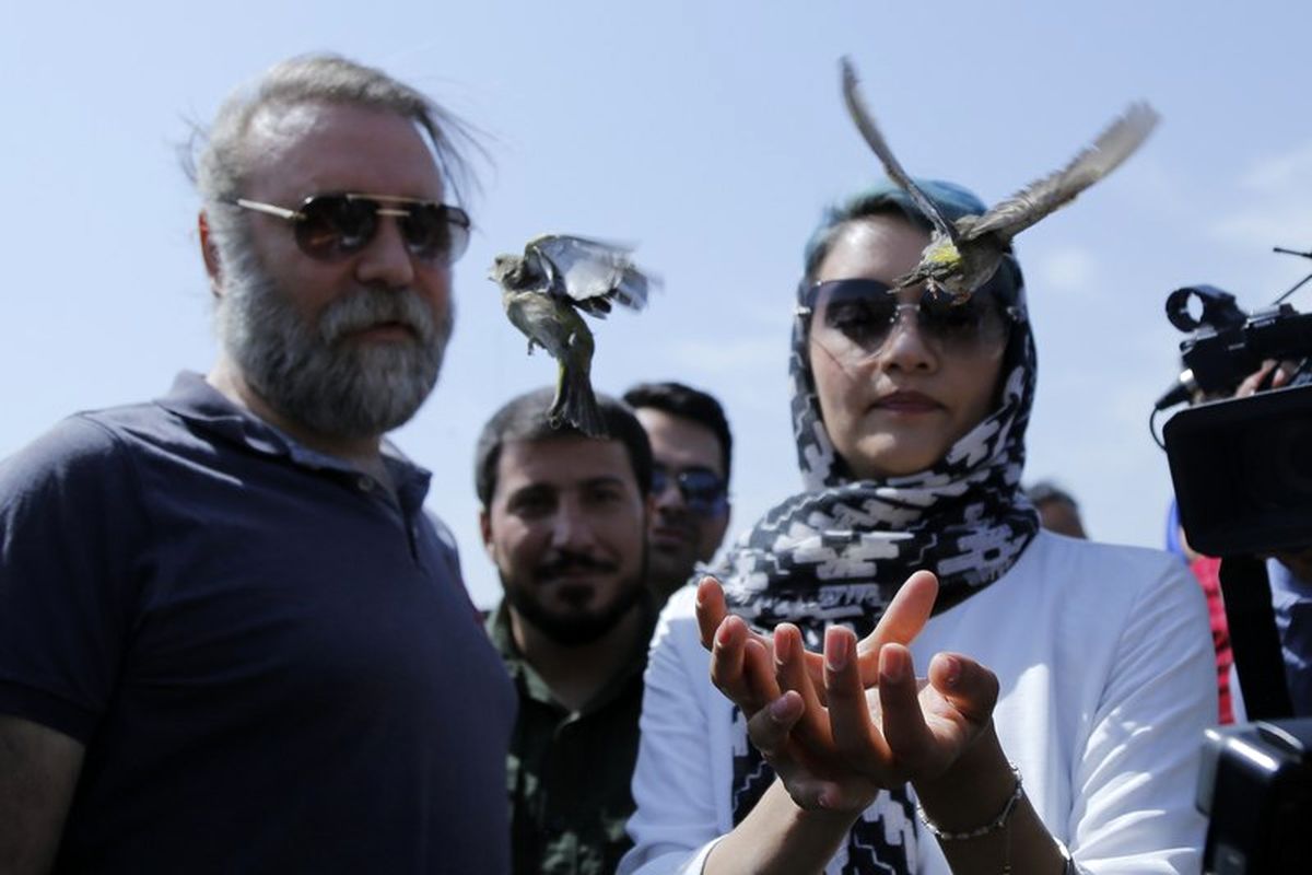 رهاسازی2