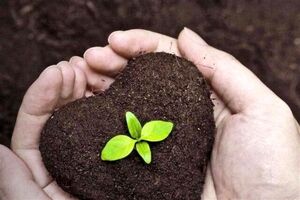  وجود پلاستیک در اراضی تا ۳۰ درصد باروری خاک را کاهش می‌دهد