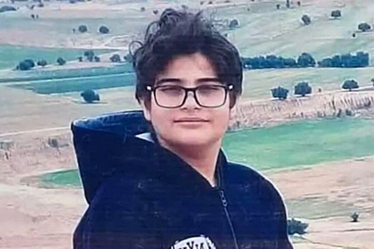 امیرمحمد انصاری 
