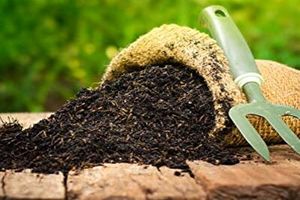 ۱۰ تُن کودشیمیایی قاچاق در هندیجان کشف شد