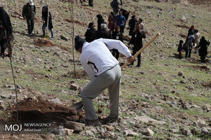 از ظرفیت‌های مردمی در طرح کاشت یک میلیارد درخت استفاده می‌کنیم