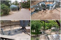 مراکز نگهداری حیات وحش در شهر تهران بازدید سرزده شد