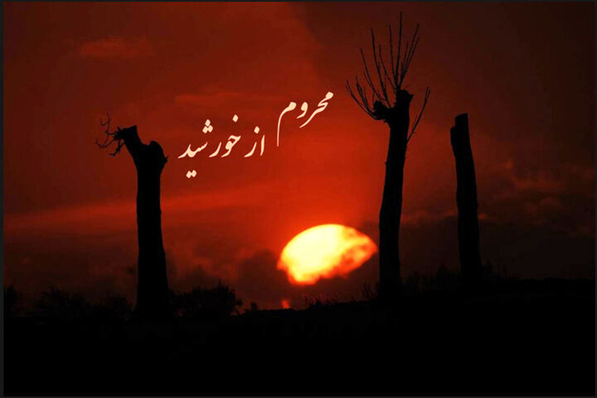 شبکه مستند