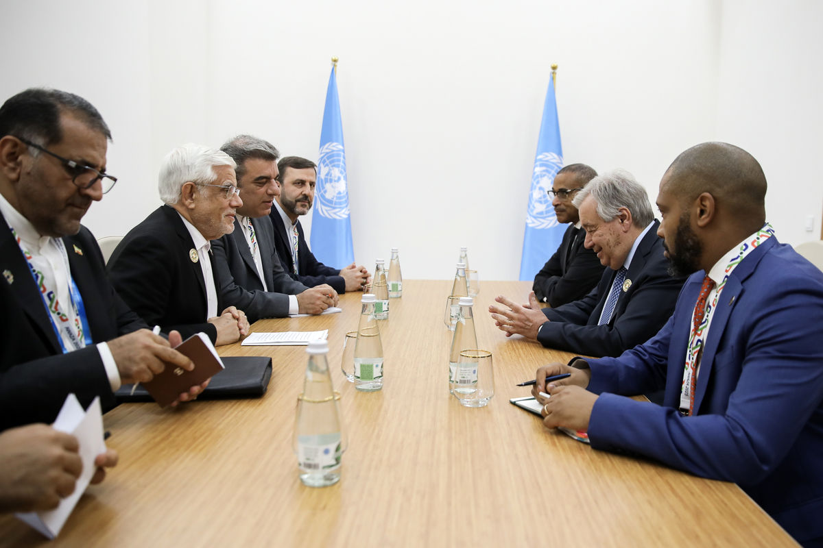 محمدرضا عارف